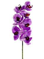 Orchid Lilac