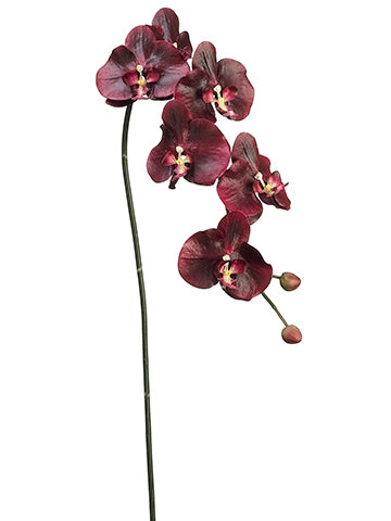 51" Phalaenopsis Orchid Spray w/6 Flw. & 2 Buds Burgundy (pack of 4)