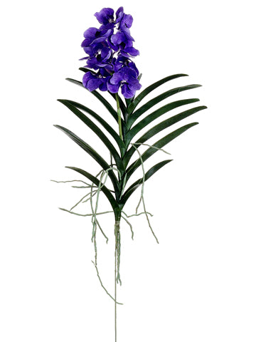 28" Vanda Orchid Plant  Purple Lavender (pack of 4)