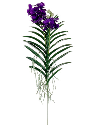 34" Vanda Orchid Plant  Violet (pack of 2)