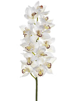34" Cymbidium Orchid Spray  Cream Burgundy (pack of 4)