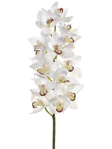 34" Cymbidium Orchid Spray  Cream Burgundy (pack of 4)