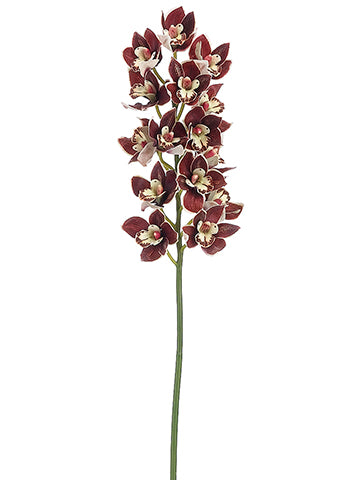 34" Cymbidium Orchid Spray  Burgundy (pack of 4)