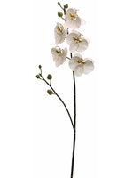 38" Phalaenopsis Orchid Spray  White Green (pack of 6)