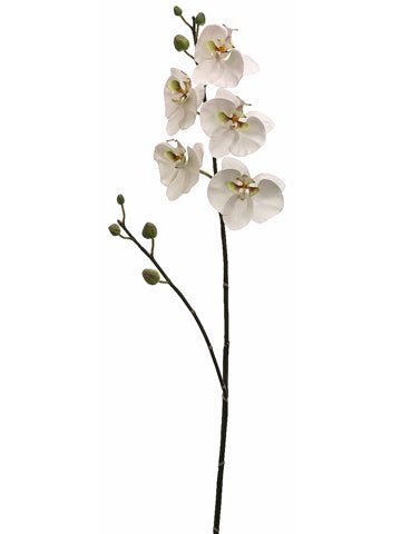 38" Phalaenopsis Orchid Spray  White Green (pack of 6)