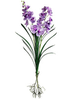 37" Vanda Orchid Plant  Purple (pack of 6)