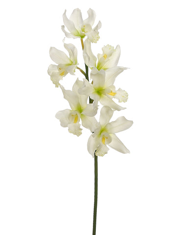 32" Cymbidium Orchid Spray  White (pack of 6)