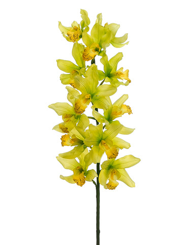 42" Cymbidium Orchid Spray  Green Yellow (pack of 4)