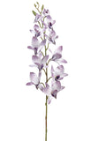 Two Tone Lavender