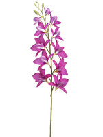 Orchid