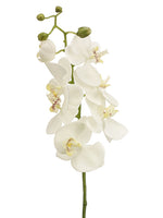 28" Phalaenopsis Orchid Spray  White Yellow (pack of 6)