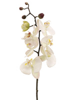 28" Phalaenopsis Orchid Spray  Cream Pink (pack of 6)