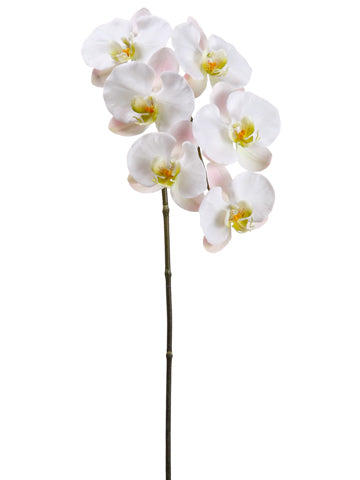 33.5" Phalaenopsis Orchid Spray White Pink (pack of 12)