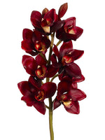 28" Cymbidium Orchid Spray  Burgundy (pack of 6)