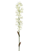 30" Mokara Vanda Orchid Spray  Cream (pack of 6)