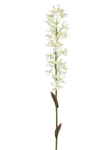 30" Mokara Vanda Orchid Spray  Cream (pack of 6)