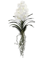 20.5" Vanda Orchid Plant with Leaf and Roots White (pack of 4)