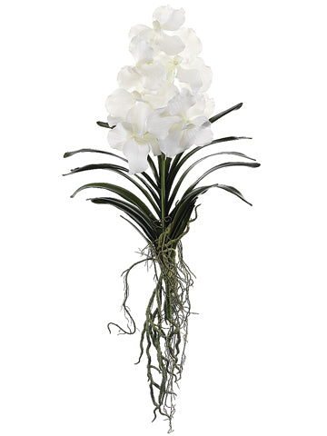 20.5" Vanda Orchid Plant with Leaf and Roots White (pack of 4)