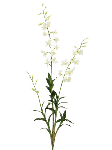 53" Dendrobium Orchid Plant with Leaf Cream (pack of 4)
