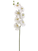 45" Phalaenopsis Orchid Spray with 7 Flowers and 3 Buds White Green (pack of 4)