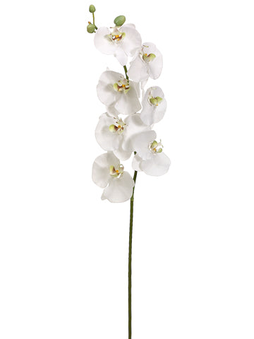 45" Phalaenopsis Orchid Spray with 7 Flowers and 3 Buds White Green (pack of 4)