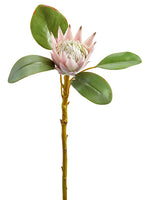Pink Green