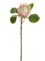 Pink Green