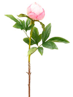 Cerise Fuchsia