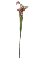 28" Pitcher Plant Spray  Green Burgundy (pack of 12)