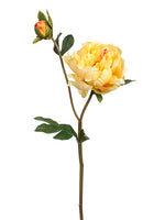 Light Yellow