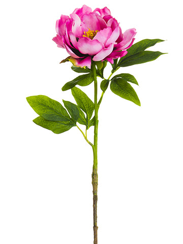 Two Tone Cerise