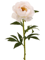 28.5" Peony Spray  Light Peach (pack of 12)
