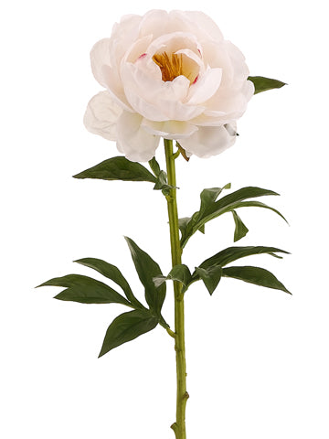 28.5" Peony Spray  Light Peach (pack of 12)