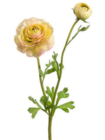 20" Ranunculus Spray w/1 Flw. & 1 Bud Yellow Pink (pack of 12)