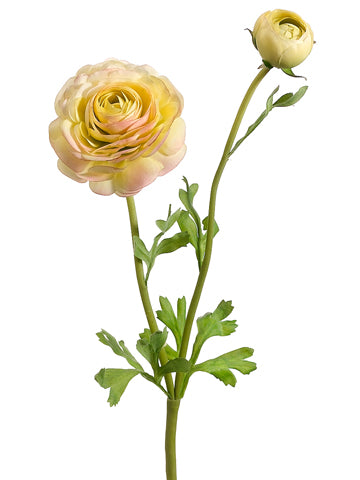 20" Ranunculus Spray w/1 Flw. & 1 Bud Yellow Pink (pack of 12)