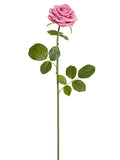 Rose Pink