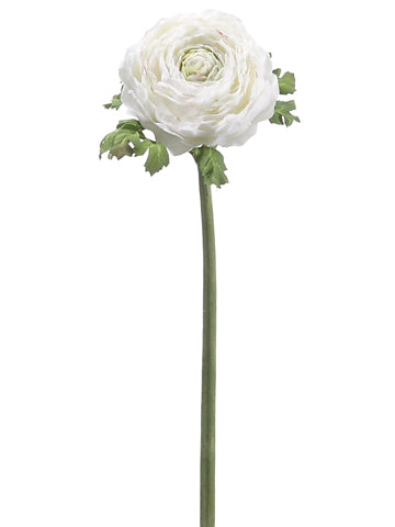 20" Ranunculus Spray  Cream Burgundy (pack of 12)