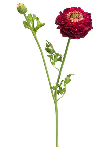 Burgundy Green