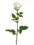 Cream Cerise