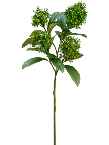 26.5" Skimmia Spray  Green (pack of 12)