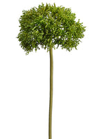 15" Sedum Spray  Green (pack of 6)