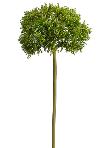 15" Sedum Spray  Green (pack of 6)