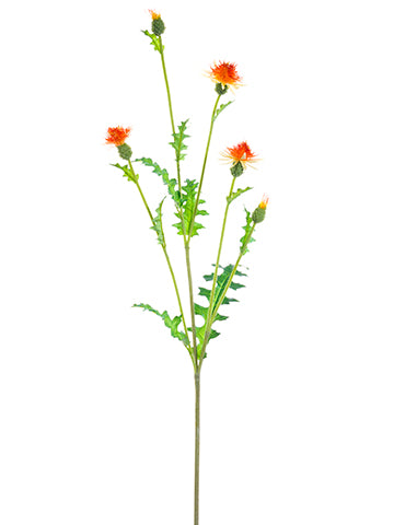 Orange Flame