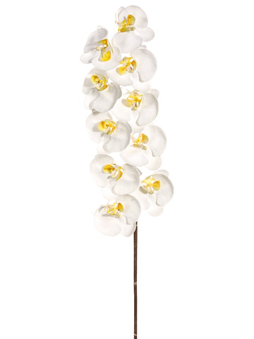 41" Large Phalaenopsis Orchid Spray with 10 Flowers Cream White (pack of 6)