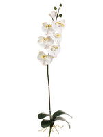 35" Phalaenopsis Orchid Spray with 7 Flowers and 3 Buds (with Pink Brush) Cream White (pack of 6)