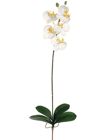 33" Medium Phalaenopsis Orchid Spray with 5 Flowers and 2 Buds White Yellow (pack of 6)
