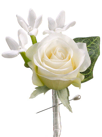 6" Rose/Stephanotis Boutonniere Cream Green (pack of 12)