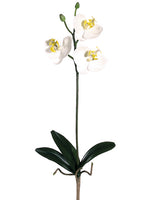 22" Mini Phalaenopsis Orchid Spray w/3 Flw. & 2 Buds White Yellow (pack of 6)