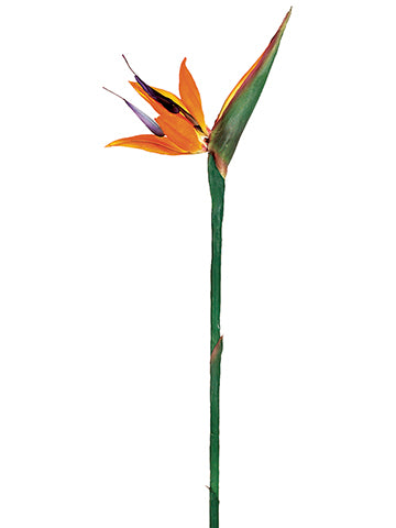 38" Large Bird of Paradise Spray Orange (pack of 12)