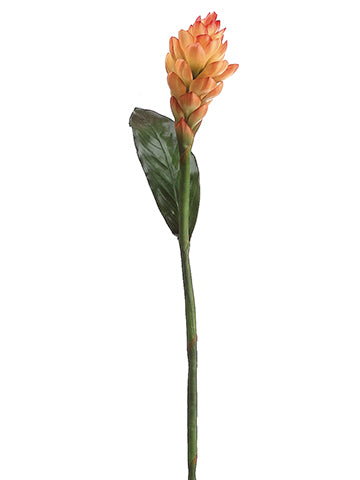 Flame Orange